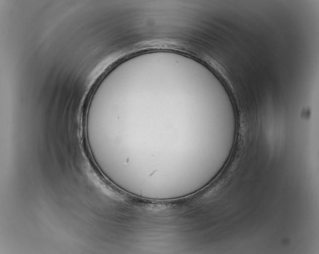 X0000113141082200909251258