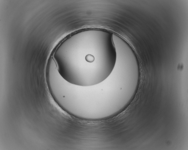 X0000113141084200909251258