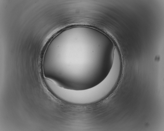 X0000113141085200909251258