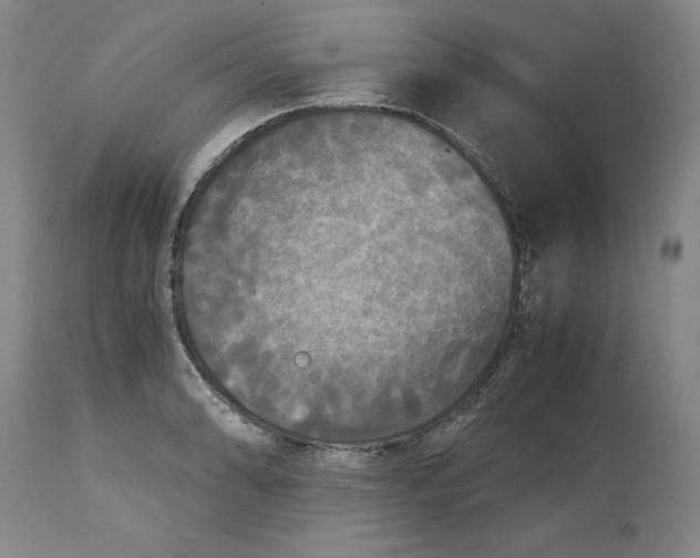 X0000113141086200909251258