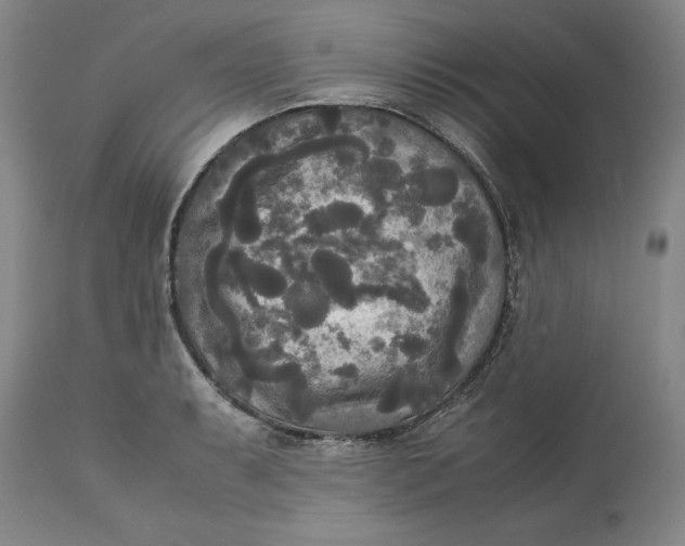 X0000113141087200909251258