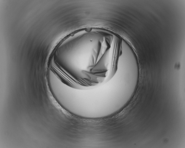 X0000113141088200909251258