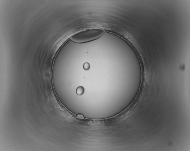 X0000113141089200909251258