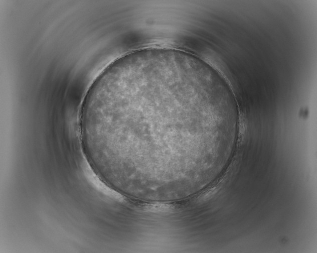 X0000113141090200909251258