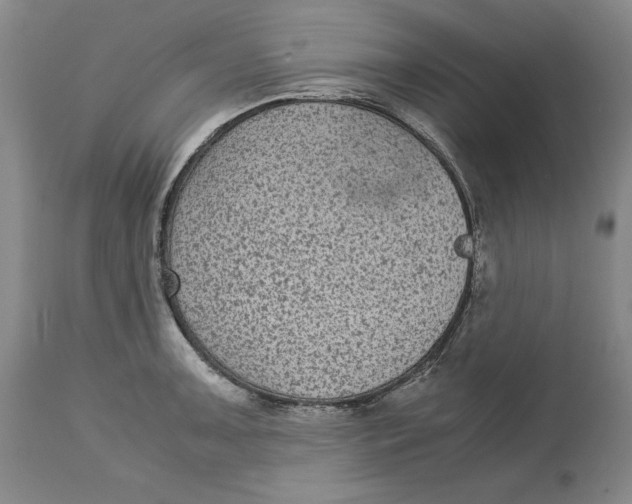 X0000113141091200909251258