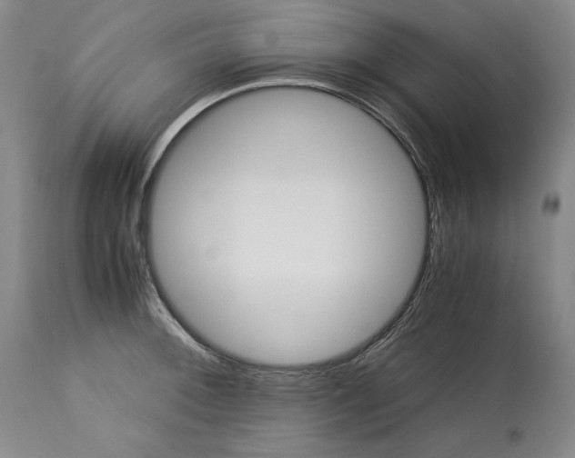 X0000113141092200909251258