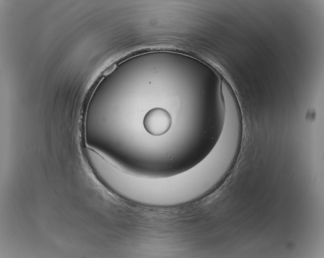 X0000113141093200909251258