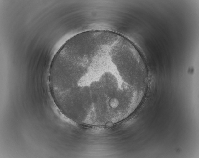 X0000113141094200909251258