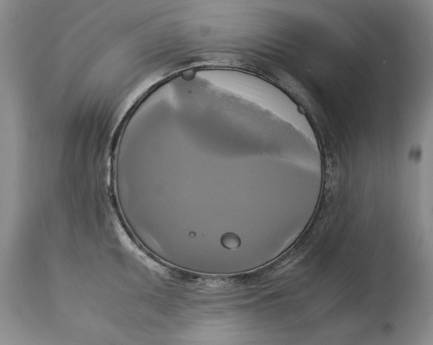 X0000113141095200909251258