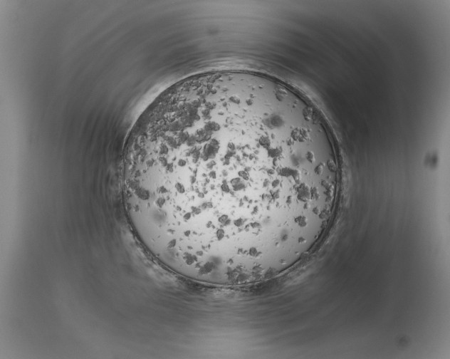 X0000113141097200909251258