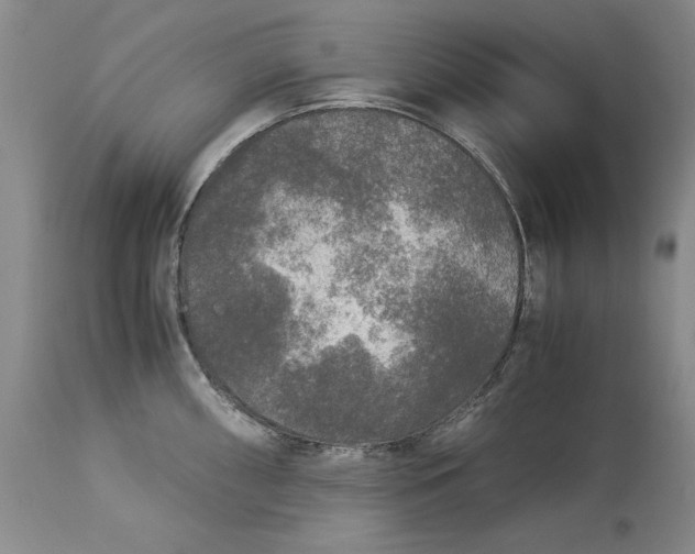 X0000113141098200909251258