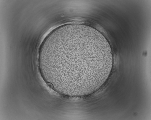 X0000113141099200909251258