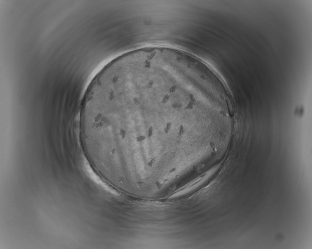 X0000113141100200909251258