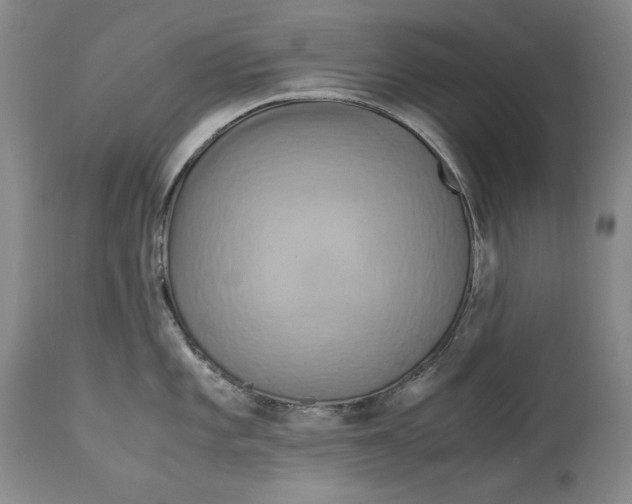 X0000113141101200909251258