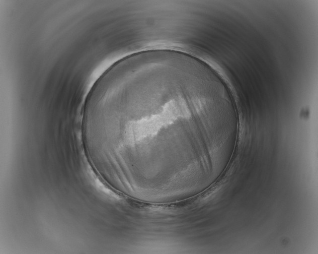 X0000113141102200909251258