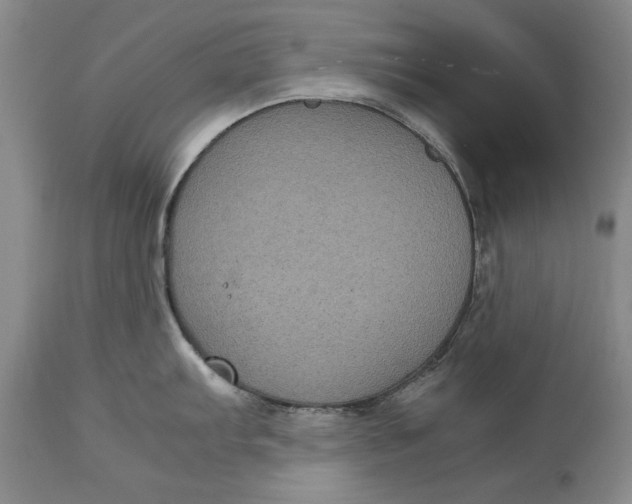 X0000113141103200909251258