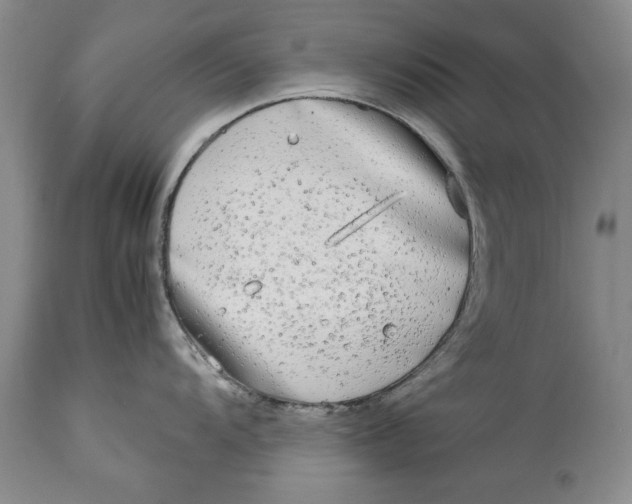 X0000113141104200909251258