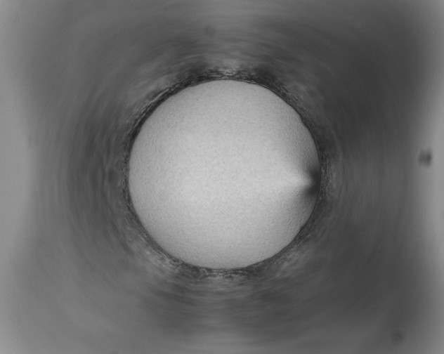 X0000113141105200909251257