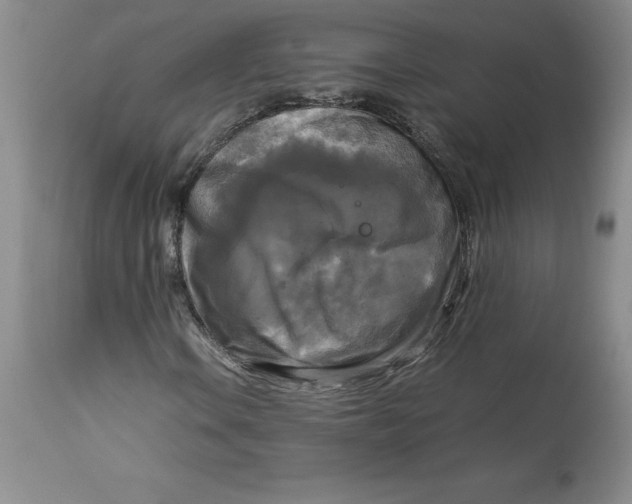 X0000113141106200909251257