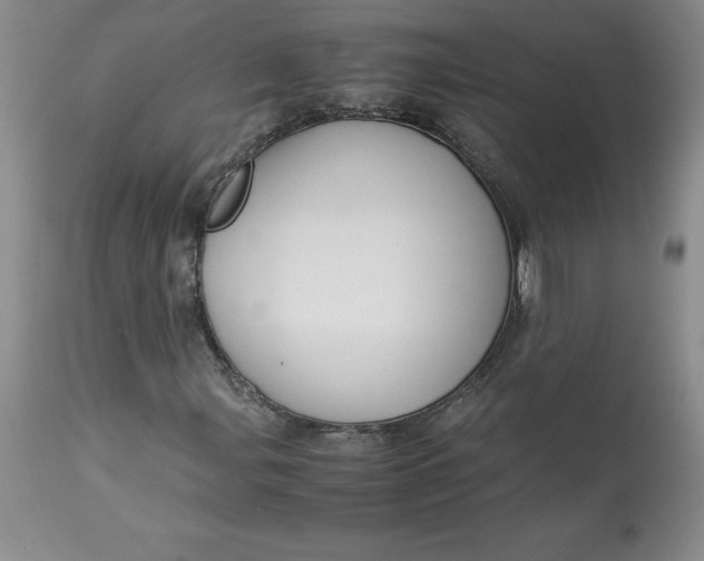 X0000113141107200909251257