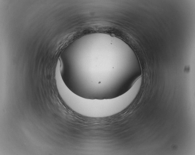 X0000113141108200909251257