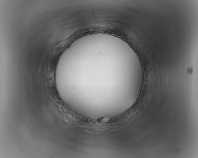 X0000113141109200909251257