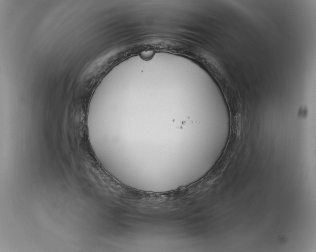 X0000113141111200909251257