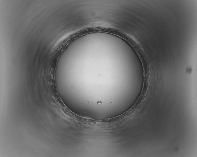 X0000113141112200909251257