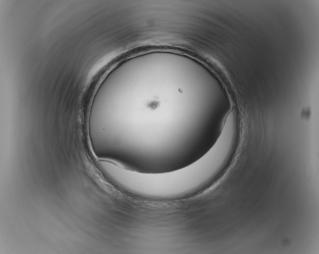 X0000113141114200909251257