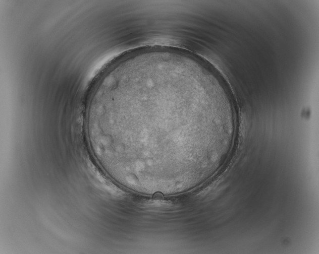 X0000113141115200909251257