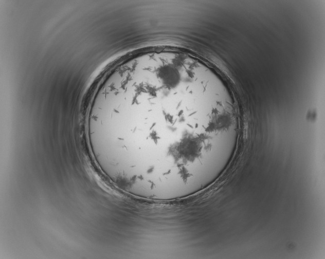 X0000113141116200909251257