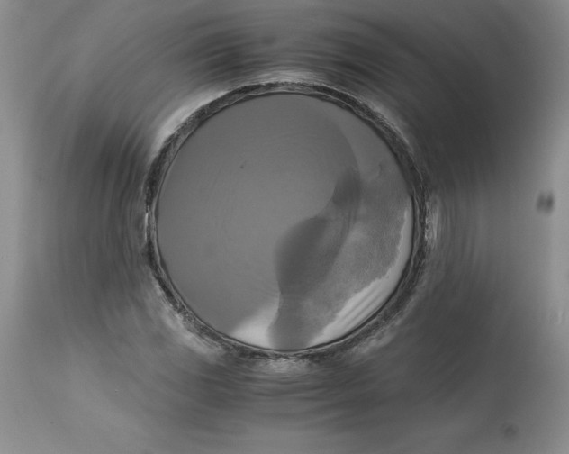 X0000113141117200909251257