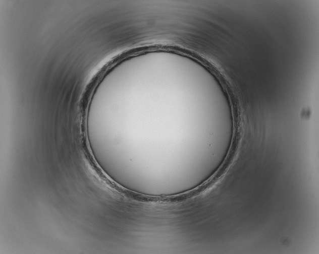 X0000113141118200909251257