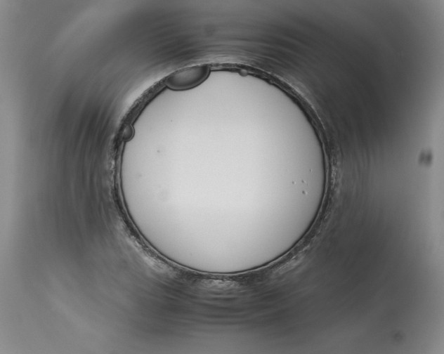 X0000113141119200909251257