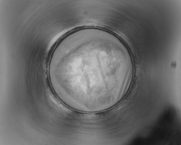 X0000113141120200909251257