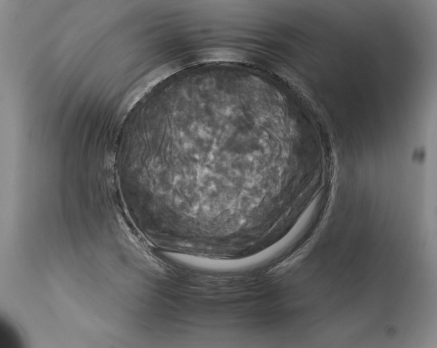 X0000113141121200909251257