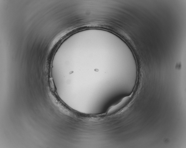 X0000113141122200909251258