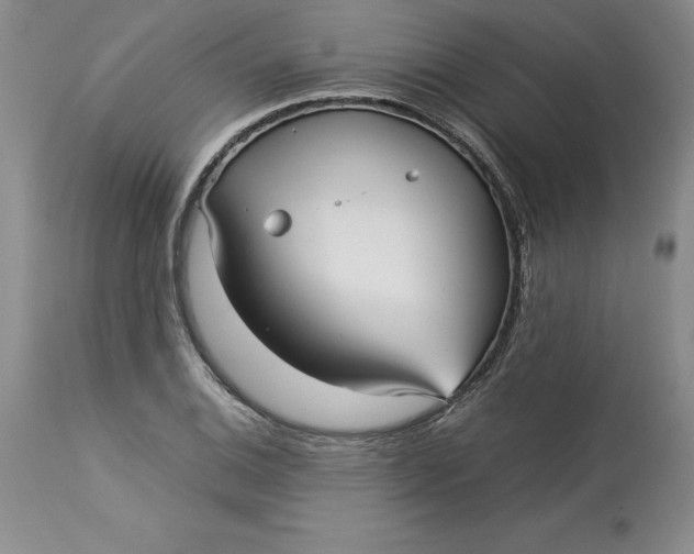 X0000113141124200909251258