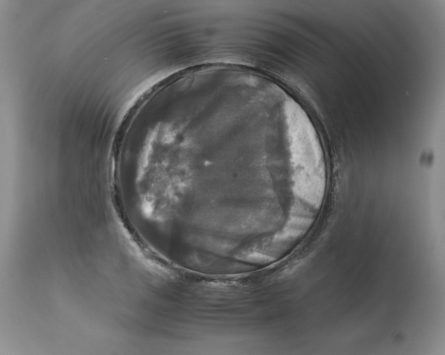 X0000113141125200909251258