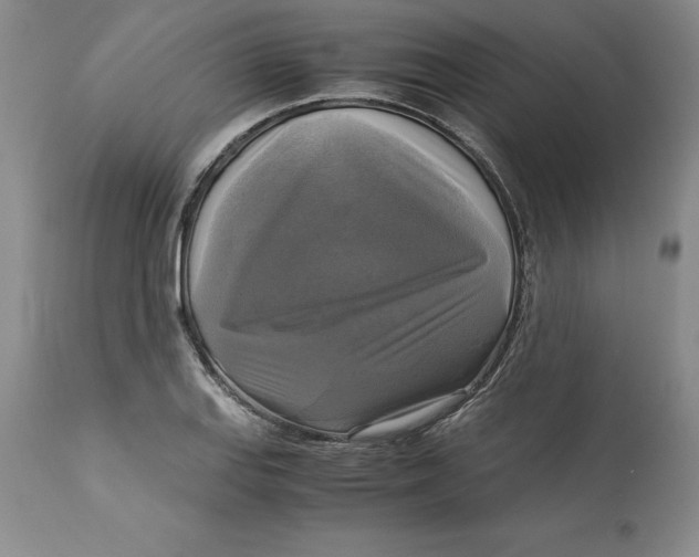 X0000113141127200909251258