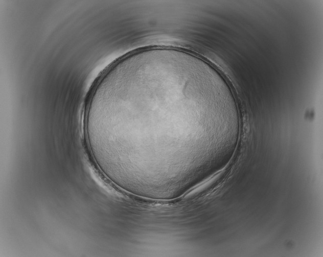 X0000113141128200909251258