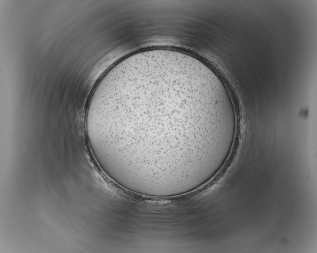 X0000113141129200909251258