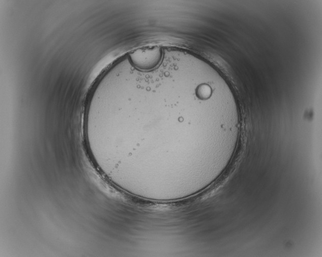 X0000113141130200909251258