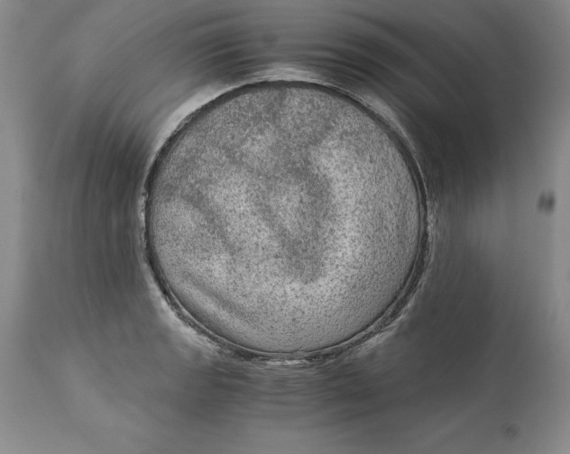 X0000113141133200909251258