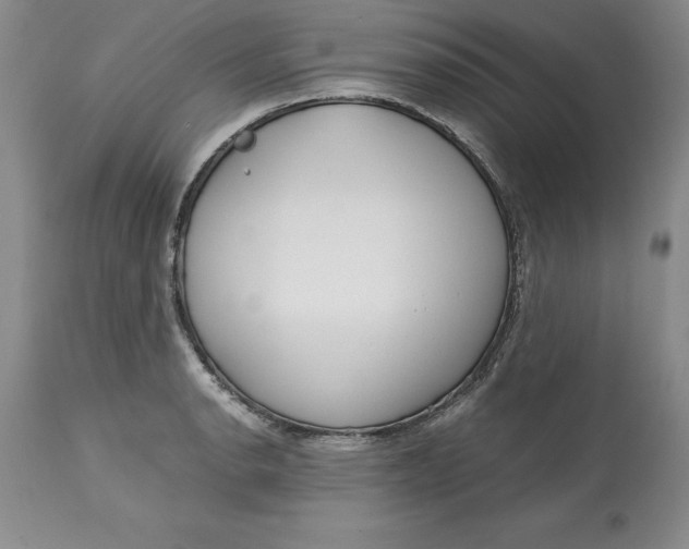 X0000113141134200909251258