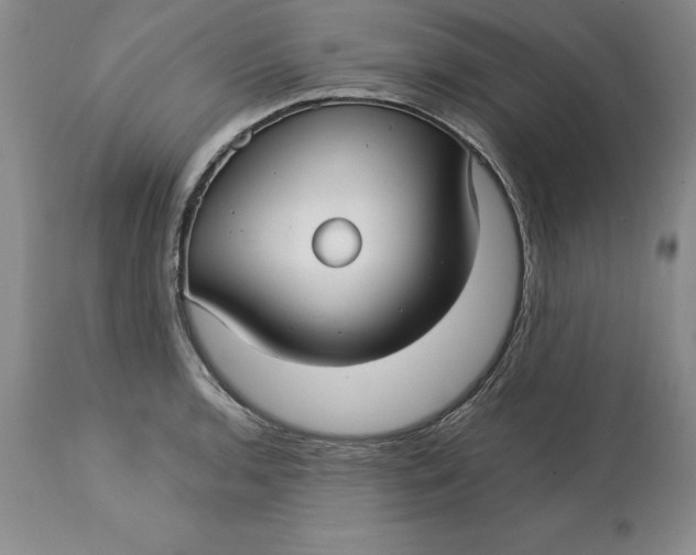 X0000113141136200909251258