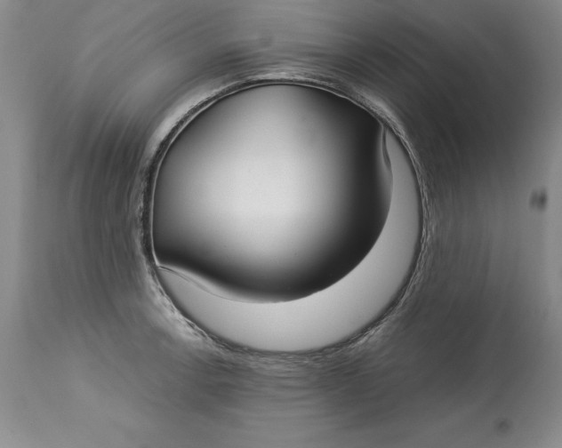 X0000113141138200909251258