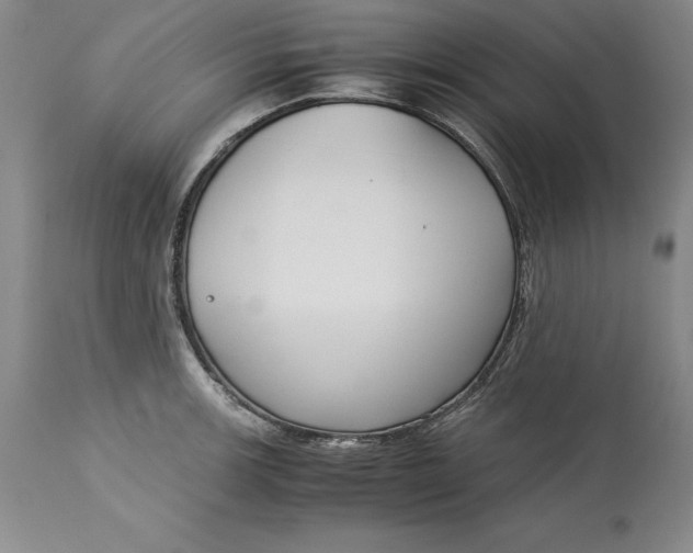 X0000113141139200909251258