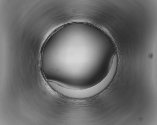 X0000113141140200909251258