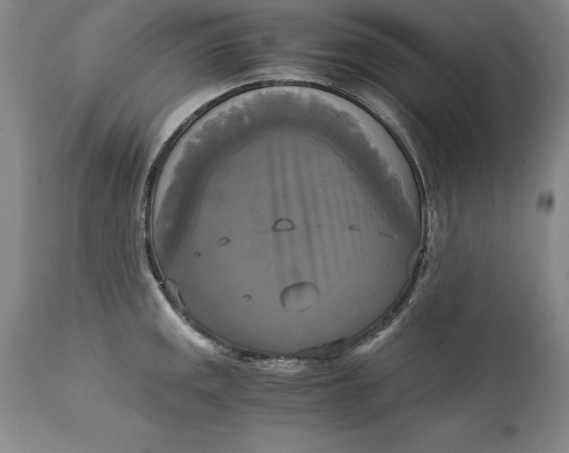 X0000113141141200909251258